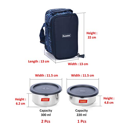 Lunch Box with Bag, Hot Insulated Double Wall Stainless Steel leak proof Tiffin